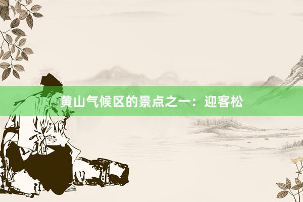 黄山气候区的景点之一：迎客松